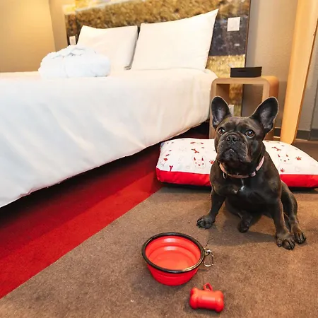 Ibis Centro Отель 3*